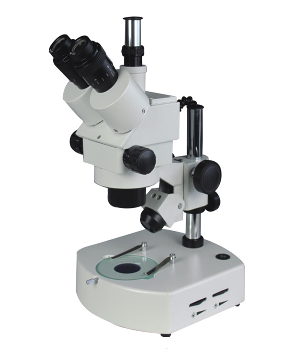 视频体视显微镜