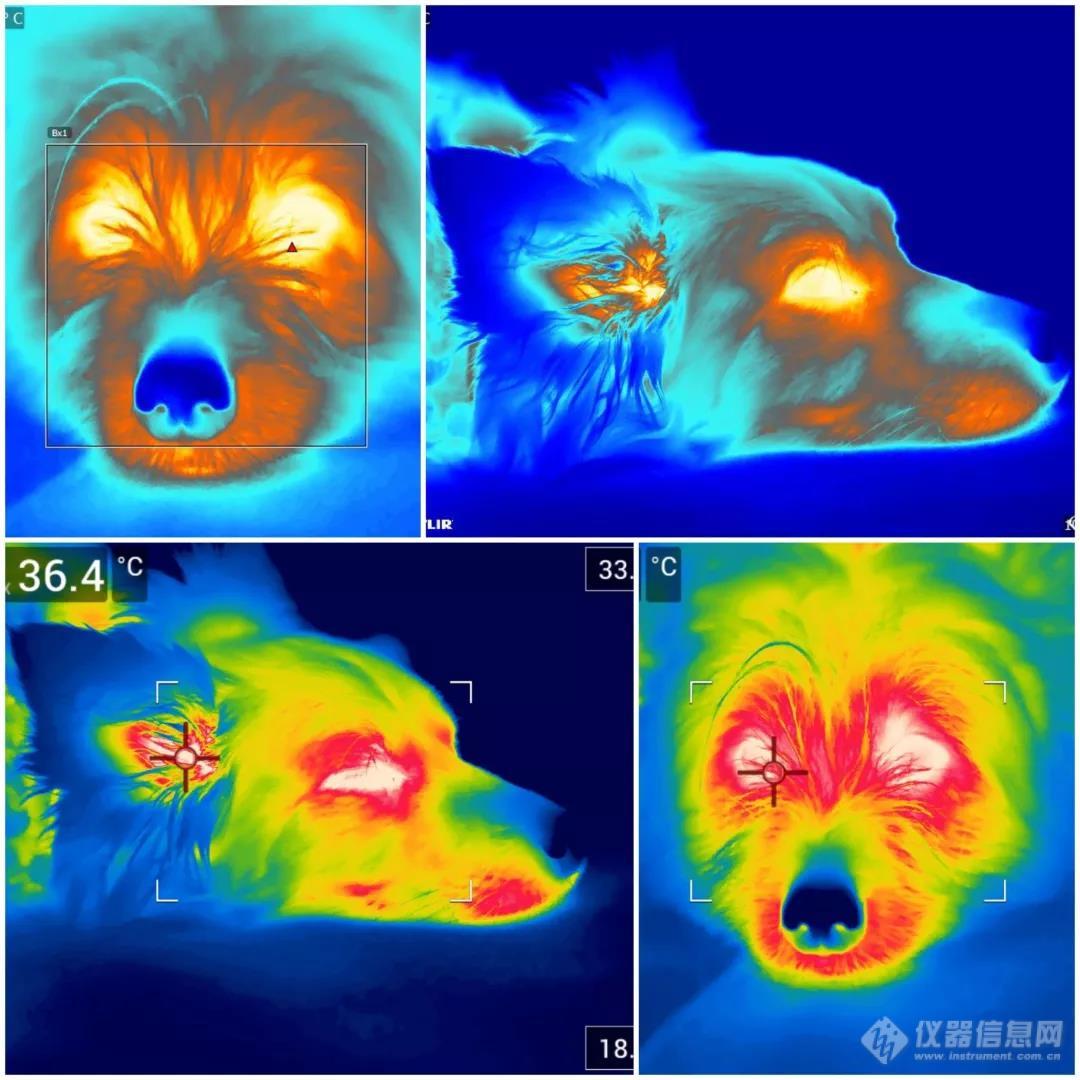 强冷空气已到货，你的“御寒神器”准备好了吗？