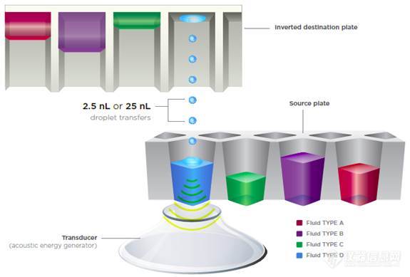 全新声波移液非接触技术 Echo一天可以实现75万样本的转移