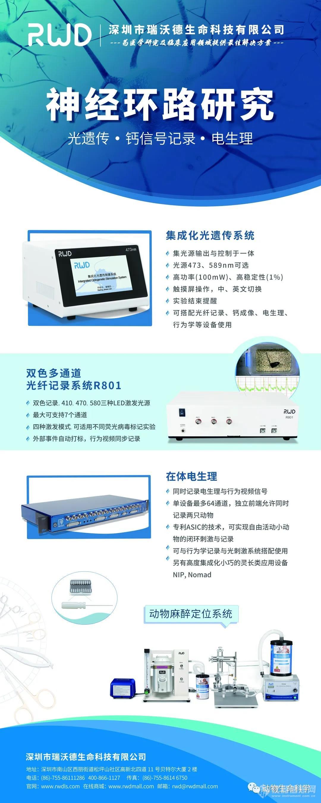 神经环路研究5.jpg