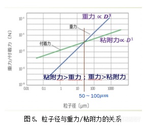 崔福德教授专栏：粉体技术在药物固体制剂中的应用及展望