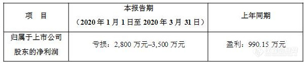 雪迪龙2020 Q1_副本.jpg