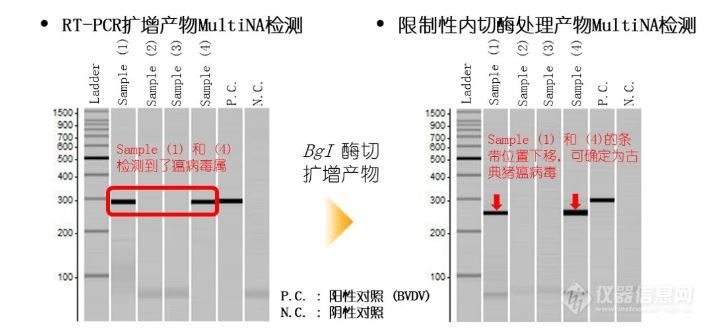 微芯片电泳仪MultiNA针对病毒检测方案