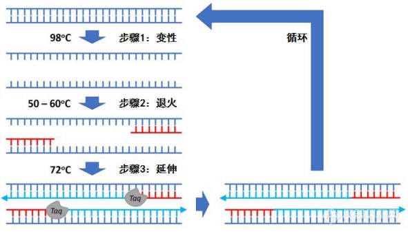 微信图片_20200311095351.png