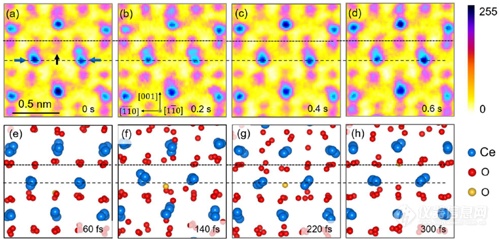 图2：O原子扩散与Ce原子重排过程的原位TEM成像以及分子动力学模拟.png