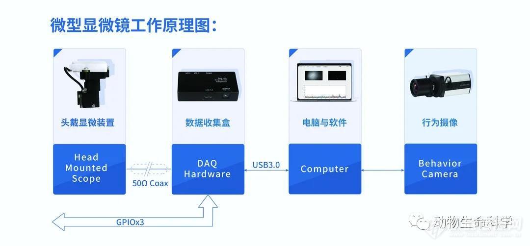 显微镜工作原理3.jpg