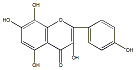 草质素.GIF