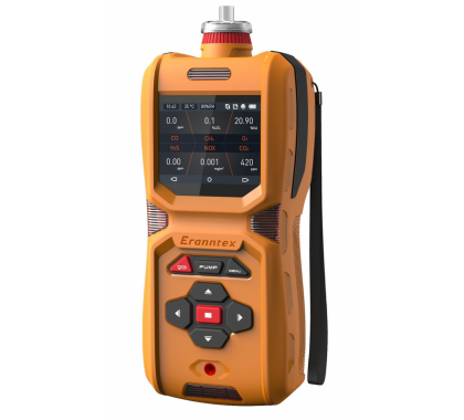 HCX600 便携式复合型气体检测仪