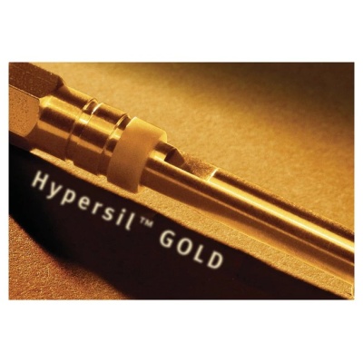 原装进口赛默飞 Hypersil GOLD 5μm制备色谱柱特价