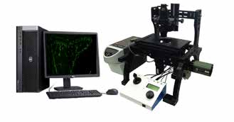 美国BQ数字扫描显微镜BIOIMAGER+生命科学分析系统