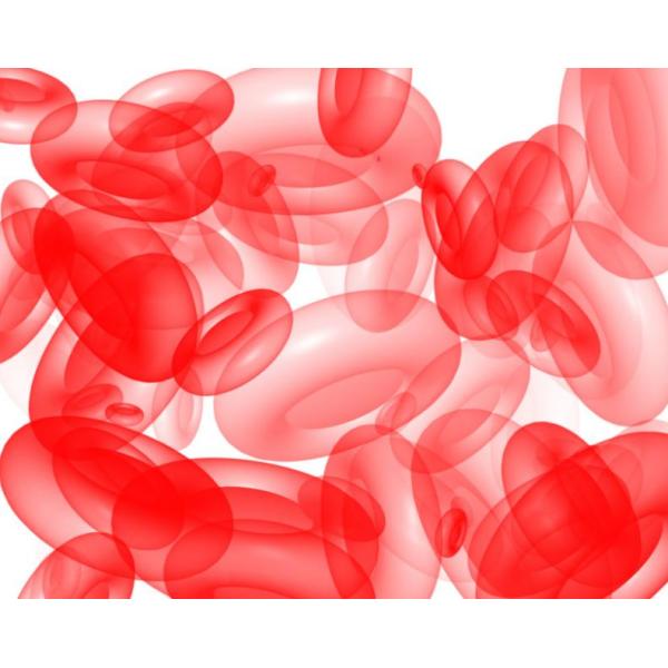 红色荧光蛋白标记人结直肠癌细胞；HCT116-RFP说明书