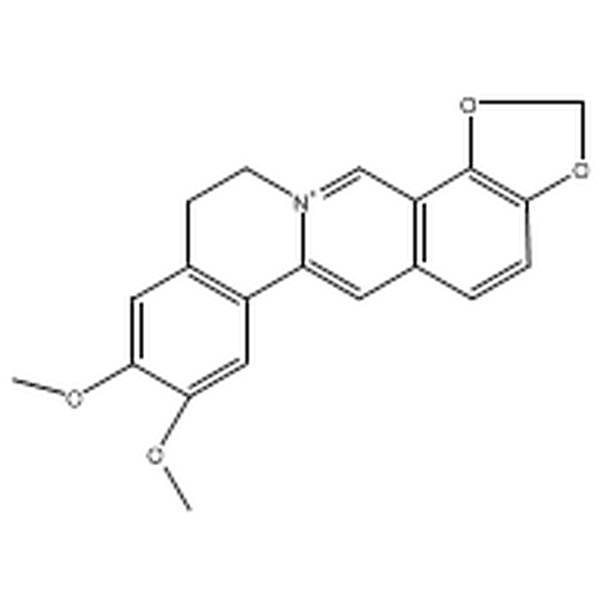 表小檗碱6873-09-2价格