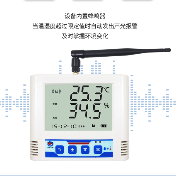 无线温湿度变送记录仪 建大仁科 RS-WS-DY-6-*