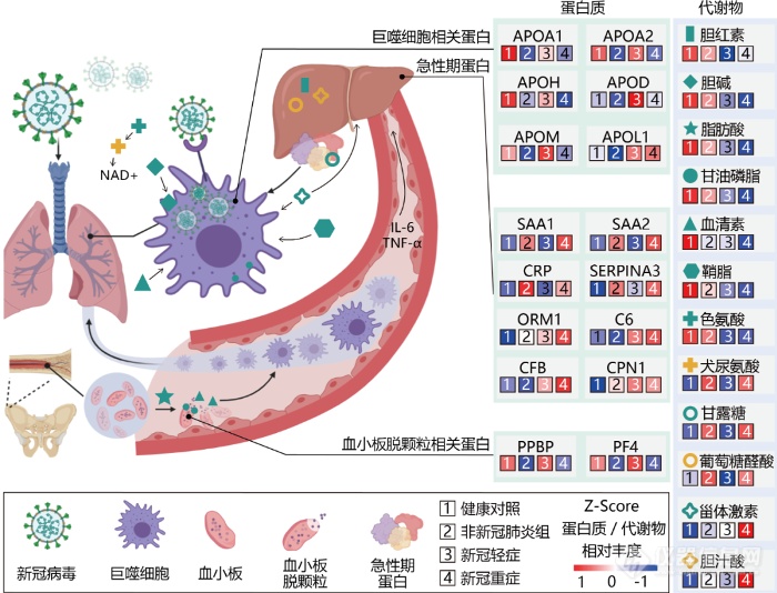 赛默飞：蛋白质组学技术在病毒感染致病机制的亮点研究