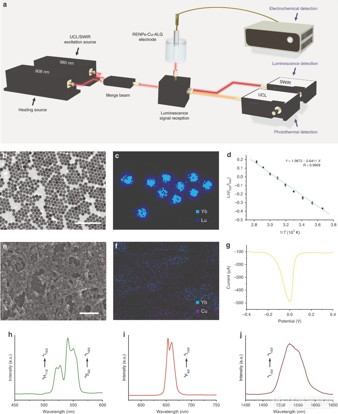 和血清学诊断假阳/阴性say no，首都师范大学周晶、马占芳最新研究Nature Communications