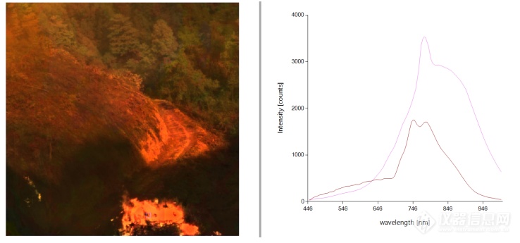 林火遥感应用案例 | 林火现场无人机高光谱与热红外研究