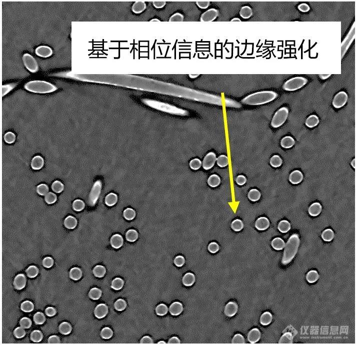 微信图片_20200421134850.jpg