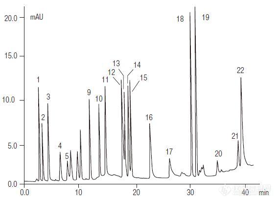 未衍生化氨基酸分析.jpg