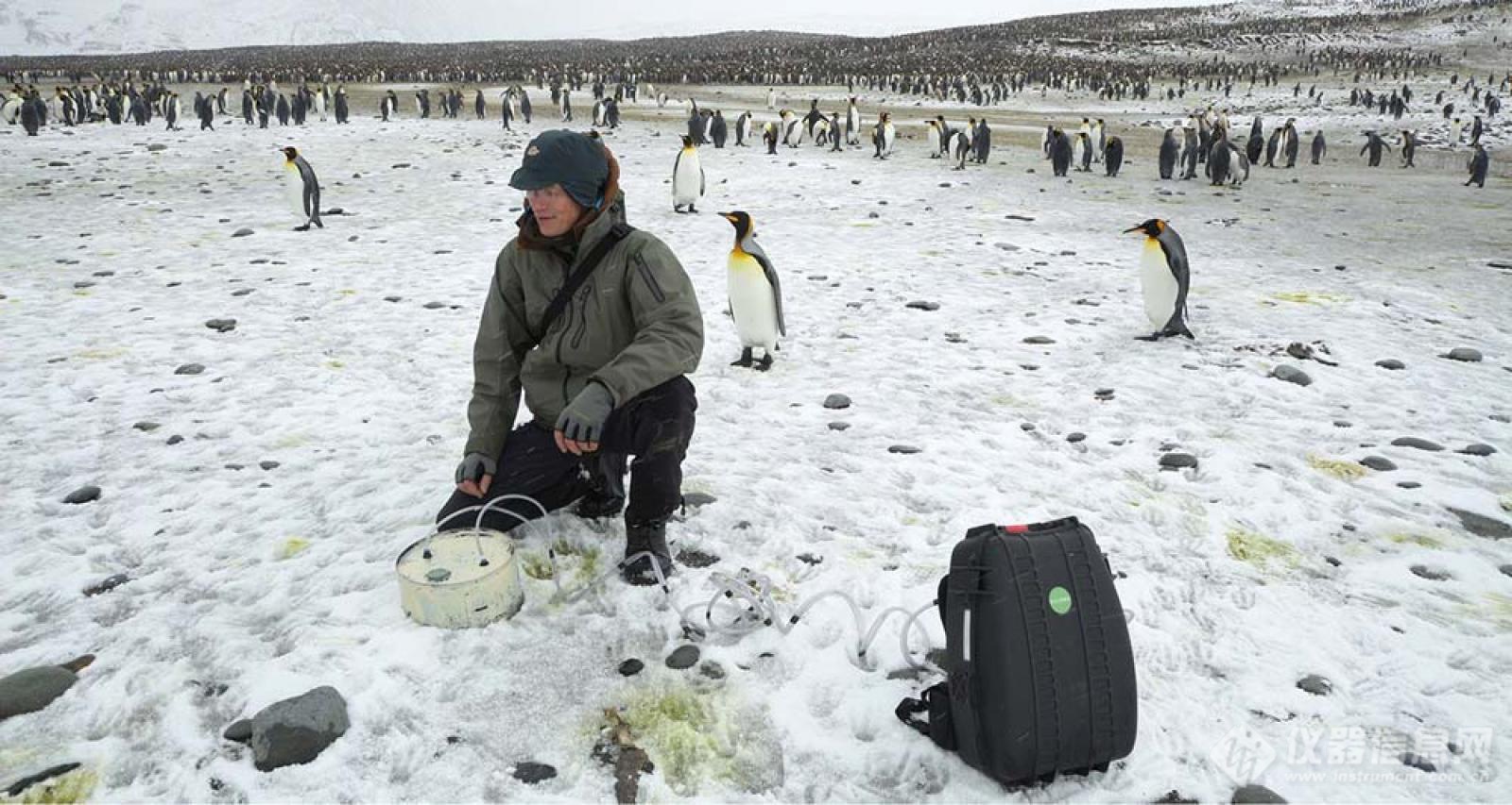 图15 Picarro仪器与企鹅，科学家一起在冰天雪地的南极.png