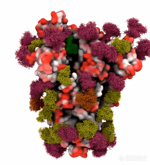 赛默飞：蛋白质组学技术在病毒感染致病机制的亮点研究