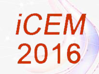 iCEM 2019