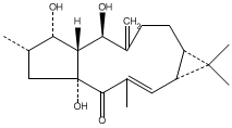 千金子二萜醇.GIF