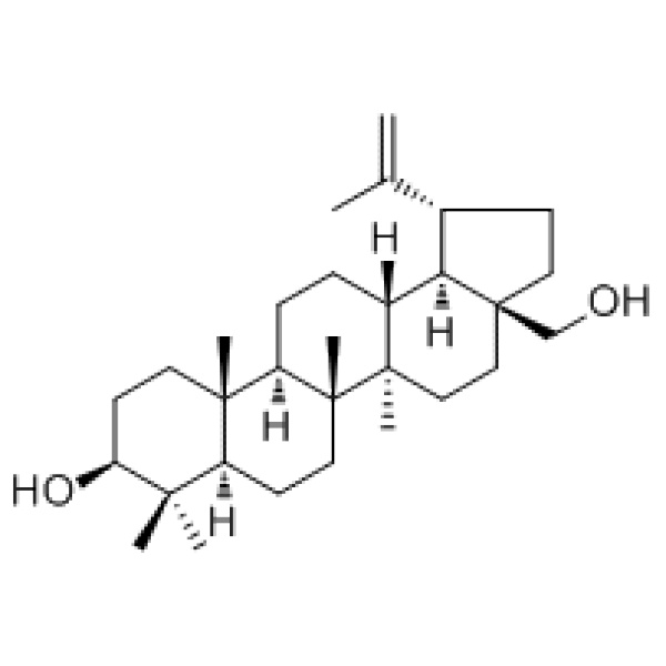 白桦脂醇473-98-3厂家