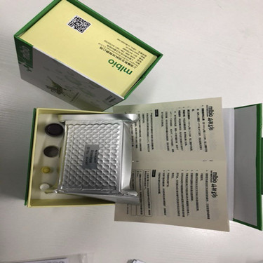 IgE-Fc片段受体Ⅱ(Fc&#949;RⅡ)原装Elisa试剂盒酶联代理商