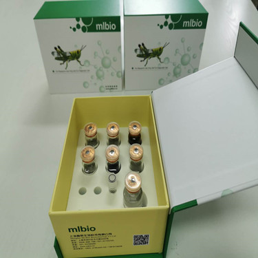 血纤蛋白原&#947;链(FGG)Elisa试剂盒96T/48T