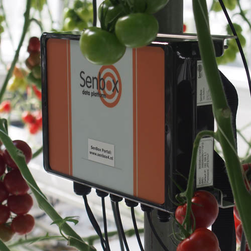 Sendot 植物生理生态监测系统 SenBox
