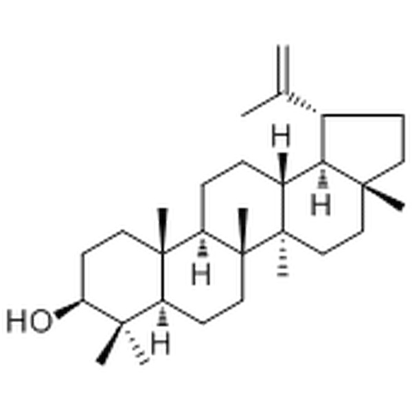 羽扇豆醇545-47-1说明书