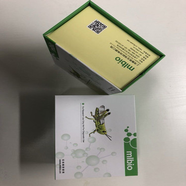 免疫球蛋白A(IgA)试剂盒液体盒装