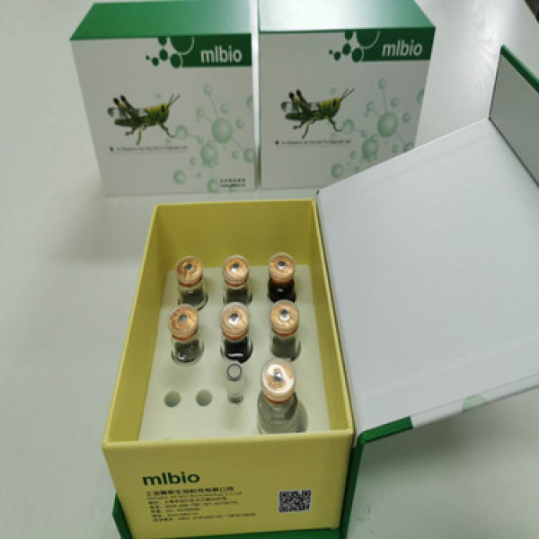 解整合素金属蛋白酶8(ADAM8)定量分析Elisa试剂盒液体盒装