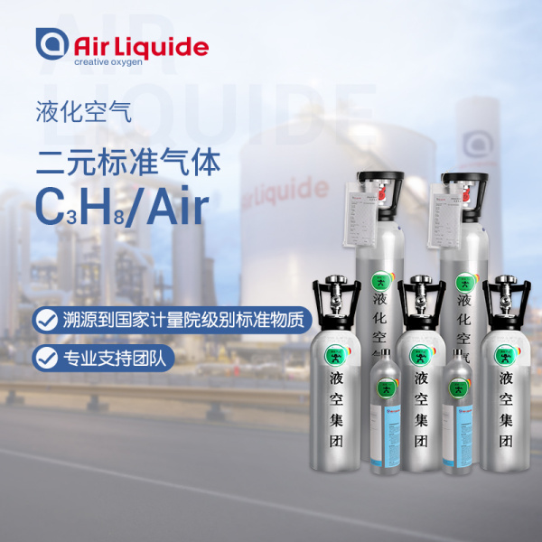二元标准气体C3H8/Air