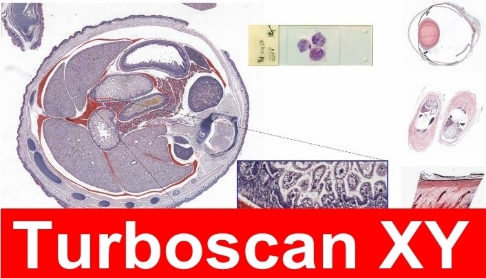 Objective Imaging TurboScan 快速扫描软件模块    