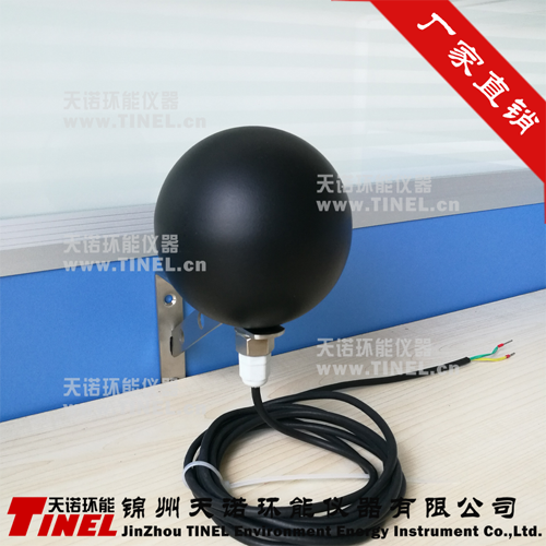 天诺环能HJWD-Q5黑球温度传感器