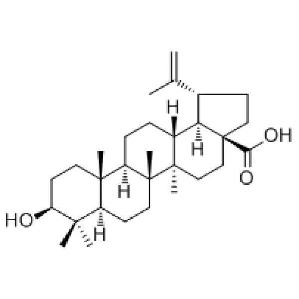 白桦脂酸472-15-1厂家