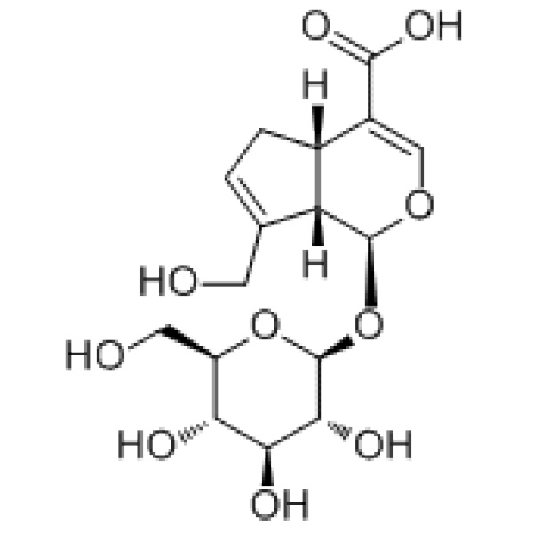 京尼平苷酸27741-01-1厂家