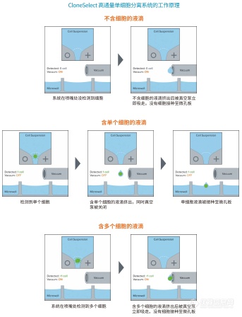 新品发布！亲眼见证单克隆性——CloneSelect高通量单细胞分离系统