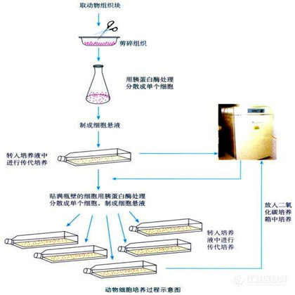 实 - 2_副本.jpg