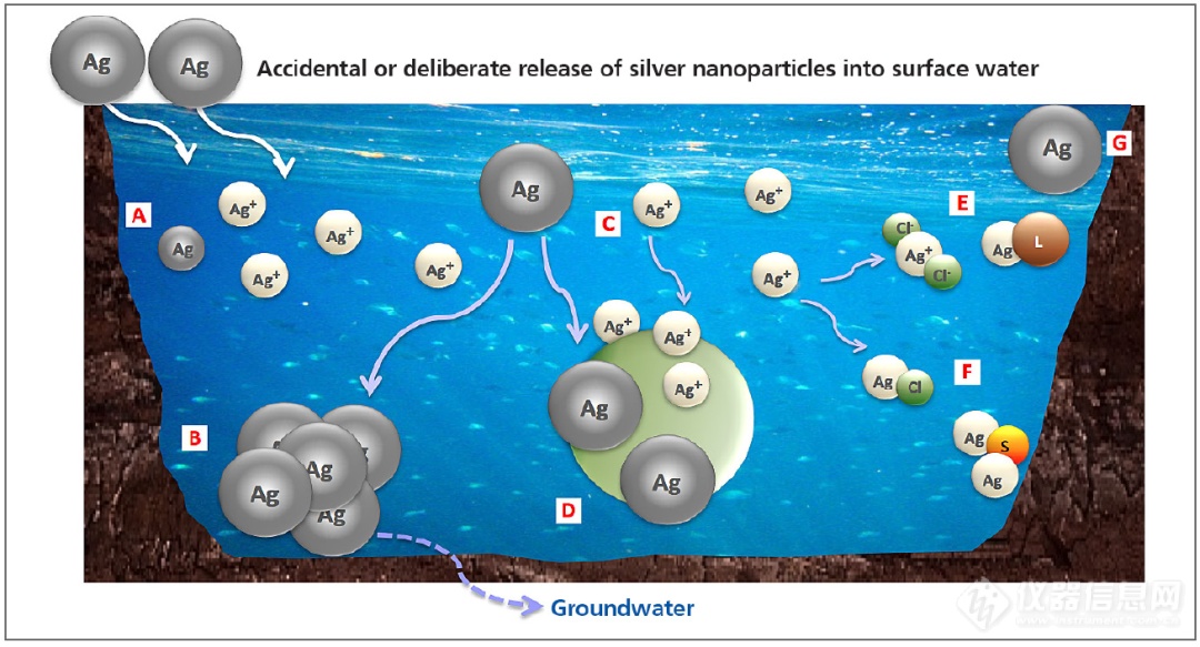 单颗粒ICP-MS应用：水中银纳米颗粒的归宿