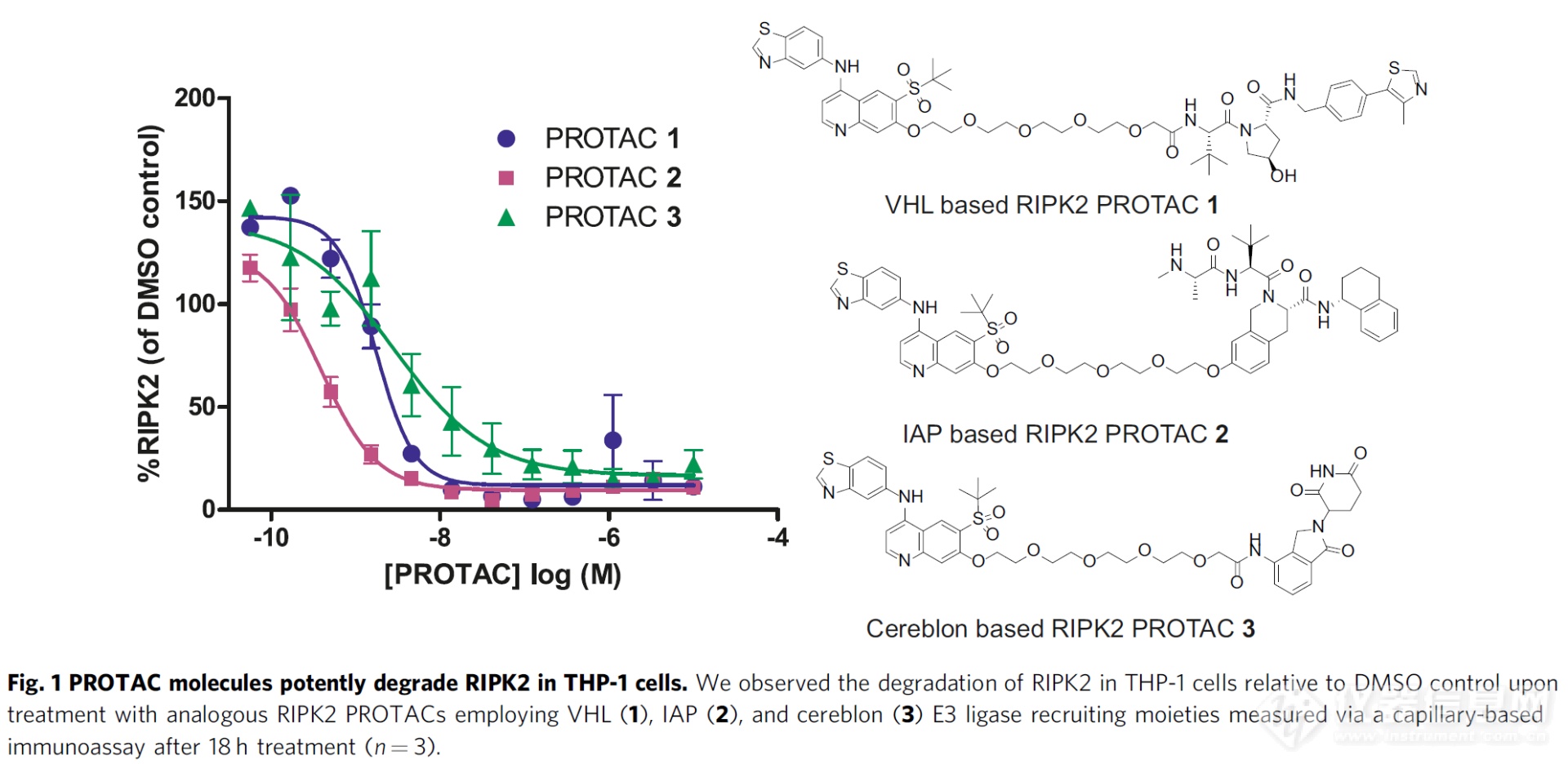 全自动定量Western Blot:全球PROTAC药物研发巨头的共同选择