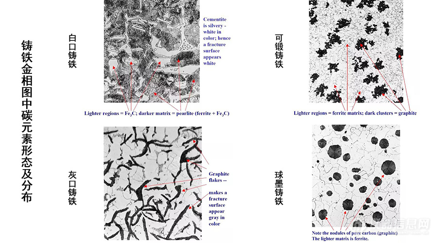 1.铸铁金相图jpg.jpg