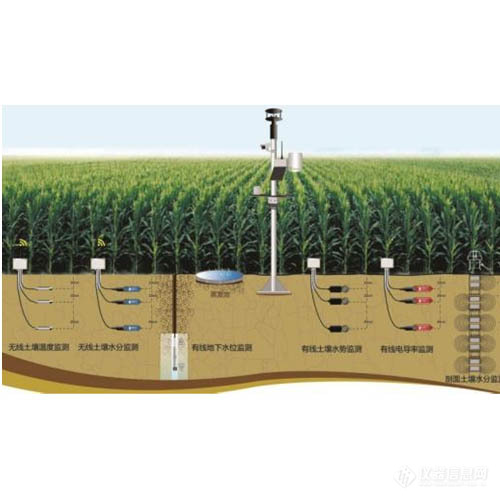 eco-100土壤温湿度监测系统.jpg