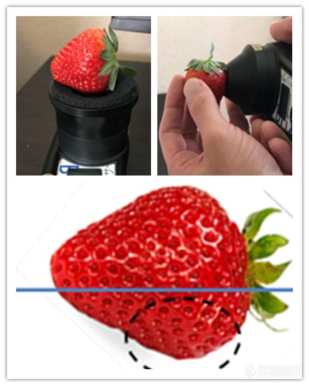 草莓无损糖度计测量方法.png