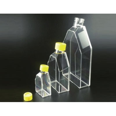 爱必信 175cm2细胞培养瓶（600ml，透气盖） 培养瓶
