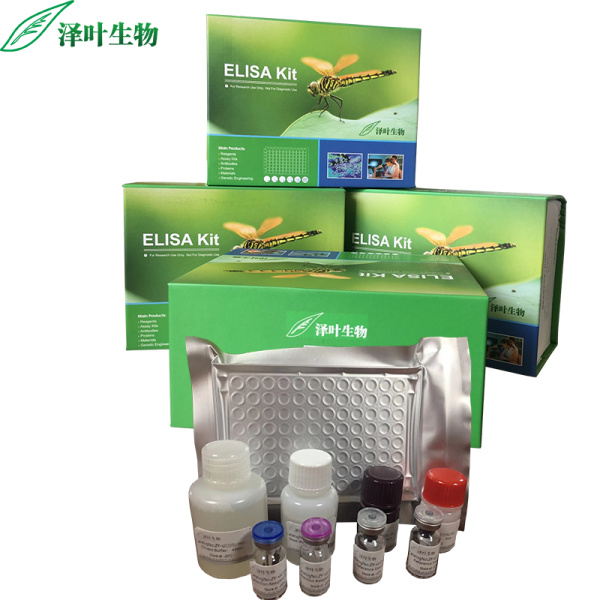 POT1试剂盒；人端粒保护1同源物检测试剂盒（ELISA方法）