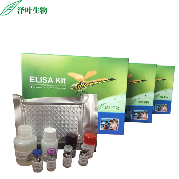 RS试剂盒；人视网膜劈裂蛋白检测试剂盒（ELISA方法）