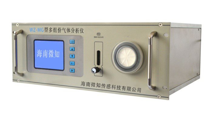 WZ-MG型多组分气体分析仪