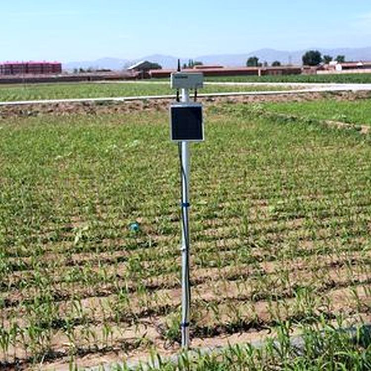 无线自动土壤水分监测系统A755 SM